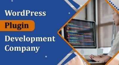 WordPress Plugin Development Company