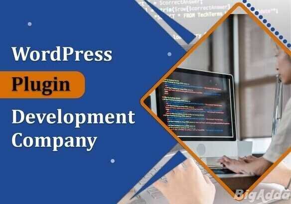 WordPress Plugin Development Company