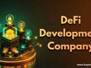 Best DeFi Development Services for Modern Platform