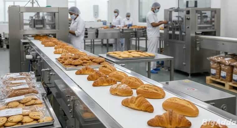 Arrowcon Conveyors for Reliable Industrial Materia