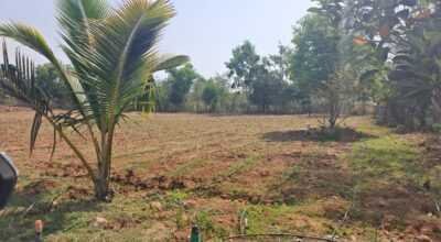 10Acres,Lakeside Agriculture land, Tar Road facing