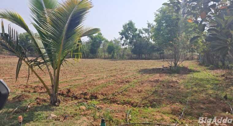 10Acres,Lakeside Agriculture land, Tar Road facing