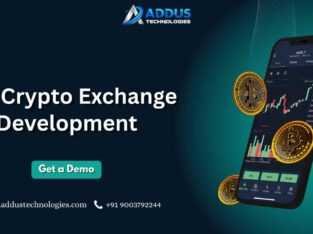 Top-Rated P2P Crypto Exchange Software Development