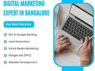 Hire the Best SEO Company in Bangalore | Web Logic