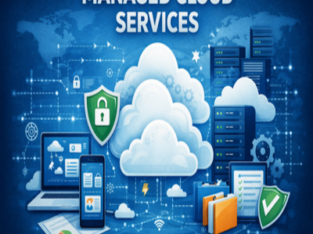 managed NOC services |Cloud Patrons Info Solutions