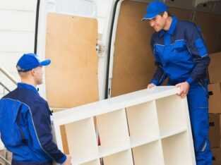 Best Packers and Movers in Noida