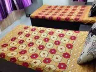 girl pg in noida sector 62
