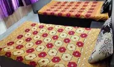 girl pg in noida sector 62