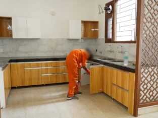 Flick Pest Control| best pest control service
