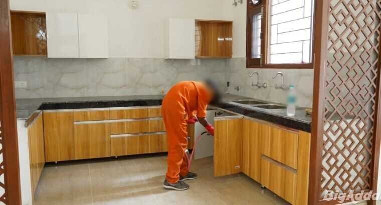 Flick Pest Control| best pest control service