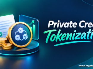 Integrate Smart Contracts Into Private Credit Toke