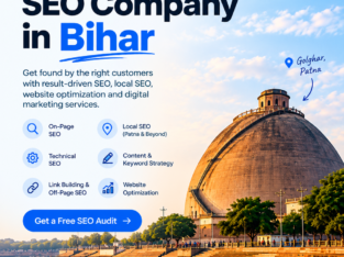 SEO Company in Patna