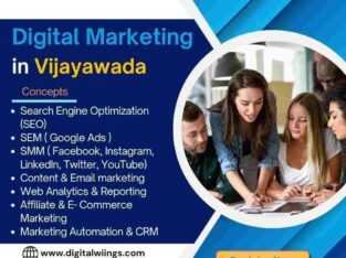 Professional Digital Marketing Training in Vijayaw