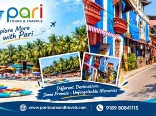 How Can Families Plan the Perfect Vadodara to Goa