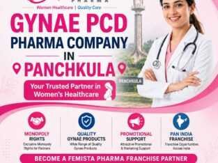 Top 10 Gynae PCD franchise company in India