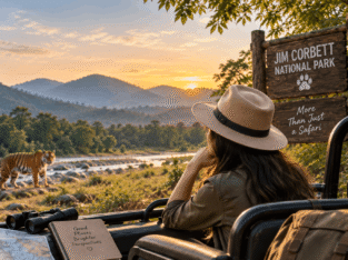 Jim Corbett Safari Booking Online