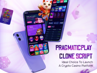 Pragmatic Play Clone Script with Full Source Code