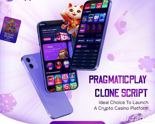 Pragmatic Play Clone Script with Full Source Code