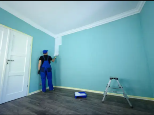 Professional Painting Services in Jaipur
