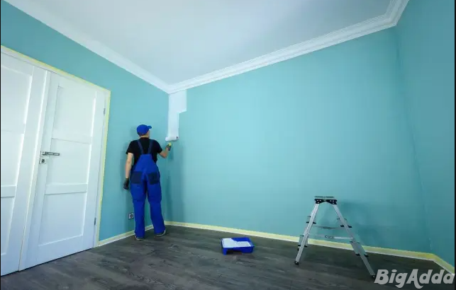 Professional Painting Services in Jaipur