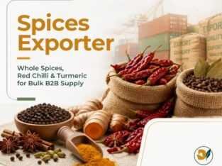 Delifro Foods – Spice Exporter for International