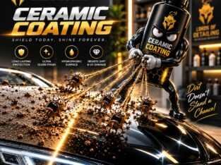 Professional Car Detailing Service
