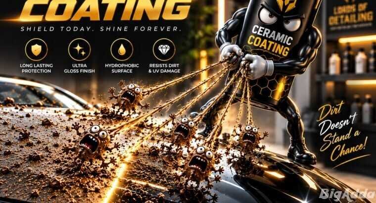 Professional Car Detailing Service