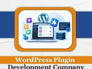 WordPress Plugin Development Company