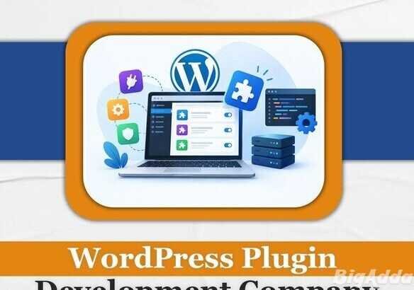 WordPress Plugin Development Company