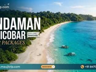 Andaman and Nicobar Tour Packages From Delhi, Mumb