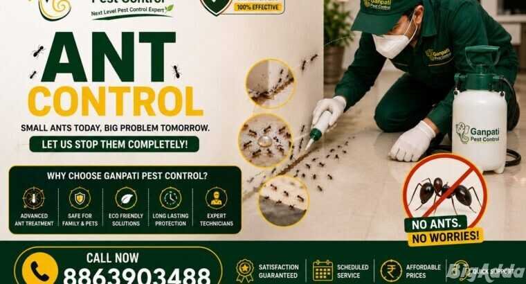 Top-Rated Pest Control Services in Patna