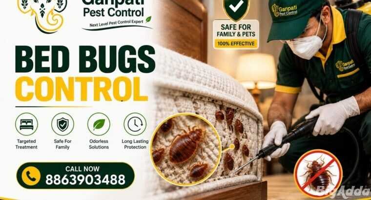 Top-Rated Pest Control Services in Patna