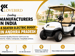 4 seater electric buggy in Andhra Pradesh
