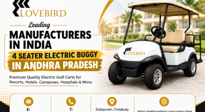 4 seater electric buggy in Andhra Pradesh