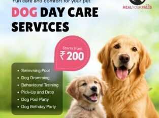 Pet boarding service in New Delhi