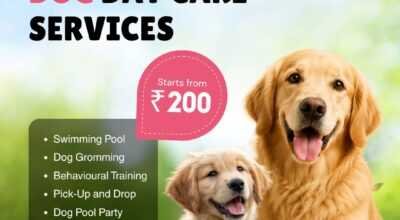 Pet boarding service in New Delhi