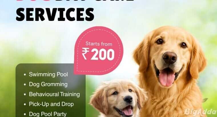 Pet boarding service in New Delhi