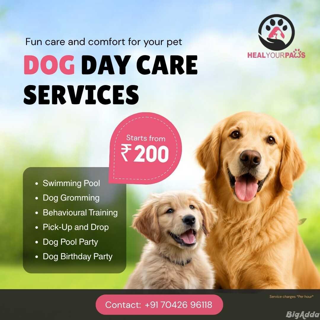 Pet boarding service in New Delhi