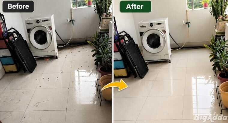 Top-Rated Pest Control Services in Patna