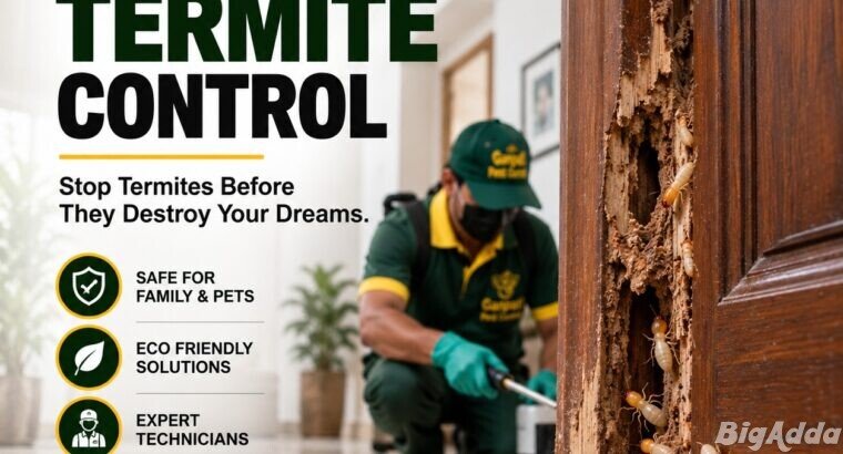 Top-Rated Pest Control Services in Patna