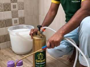 Top-Rated Pest Control Services in Patna