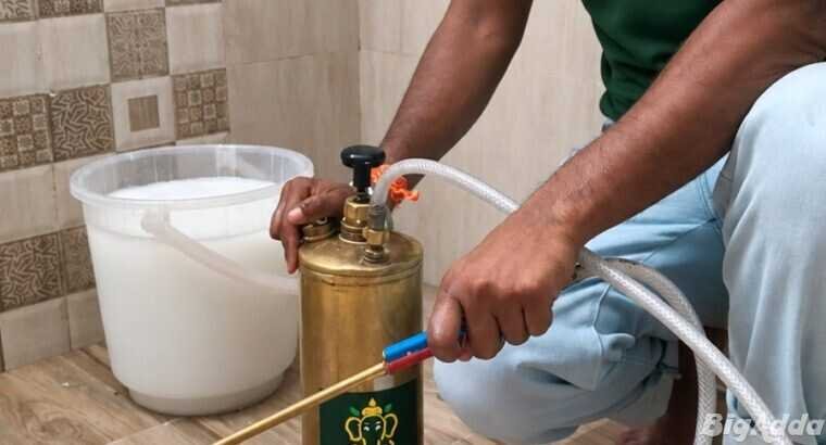 Top-Rated Pest Control Services in Patna