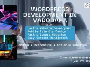 Professional WordPress Website Development Service