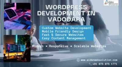 Professional WordPress Website Development Service