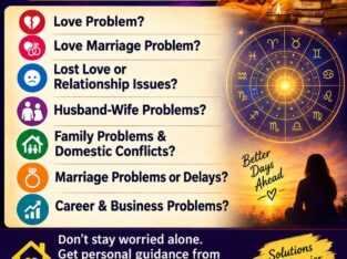 Best online Astrologer for love problem solution