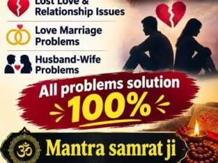 Lost love back best astrologer
