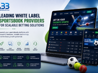 white label sports betting software providers