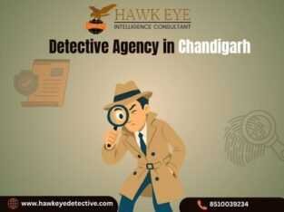 Licensed Detective Agency in Chandigarh since 1996