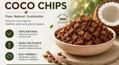 Natural Coconut Coco Chips for Healthy Plant Growt