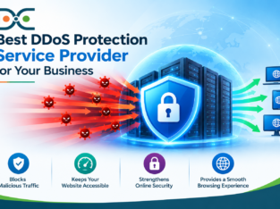 Best DDoS Protection Service Provider for Your Bus